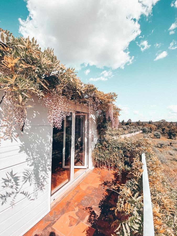 コンスタンシア Casa Da Aldeiaヴィラ エクステリア 写真