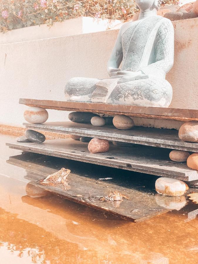 コンスタンシア Casa Da Aldeiaヴィラ エクステリア 写真